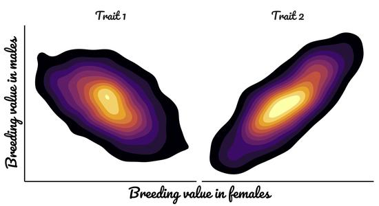 Intralocus sexual conflict