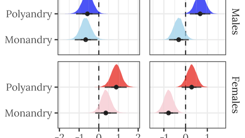 Experimental sexual selection affects the evolution of physiological and life‐history traits