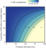 An X-linked meiotic drive allele has strong, recessive fitness costs in female Drosophila pseudoobscura