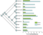 The evolution of queen pheromones in the ant genus Lasius