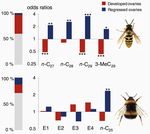 Conserved class of queen pheromones stops social insect workers from reproducing